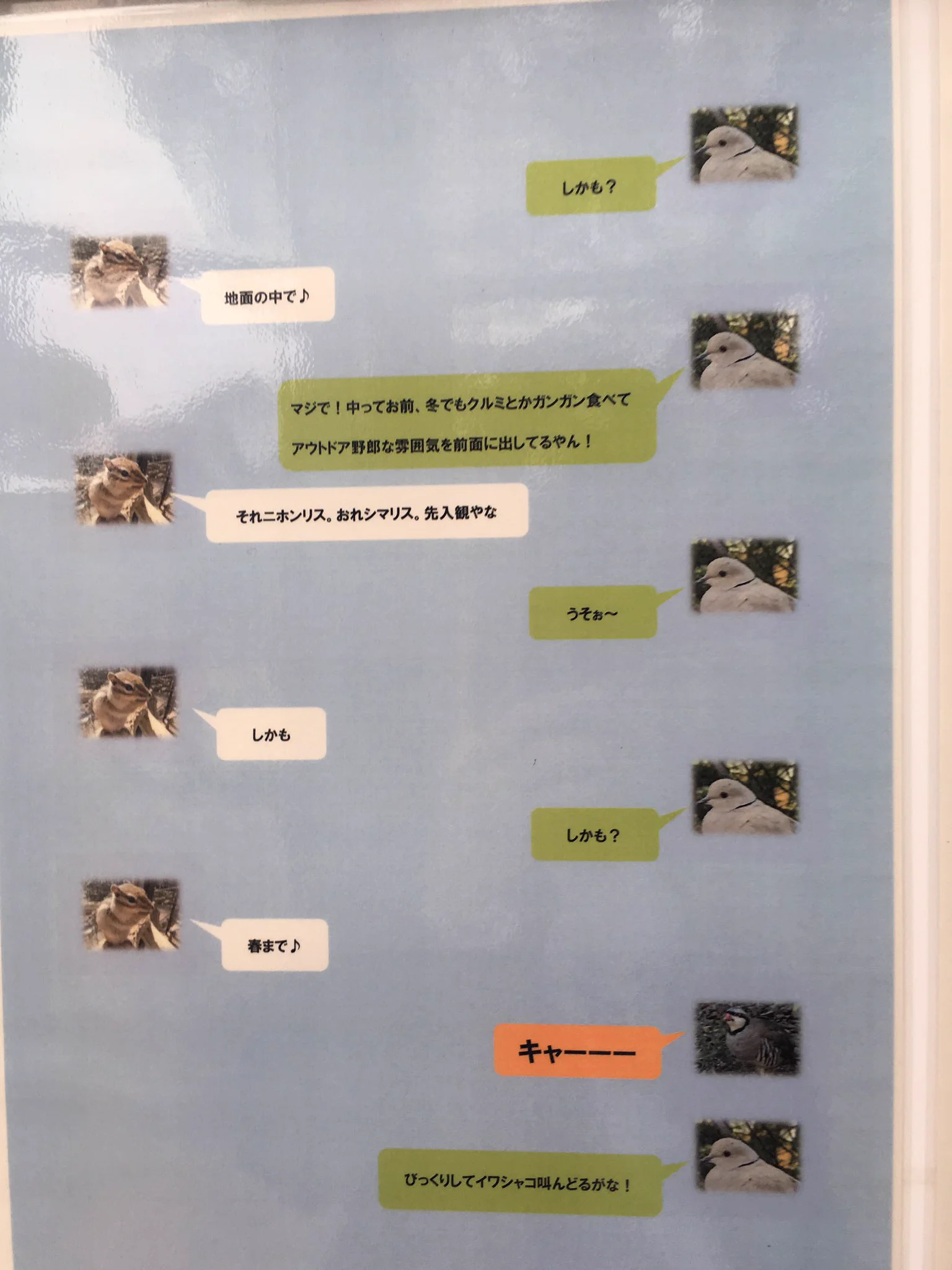 こうゆう会話好きｗ動物LINEのやり取りがまるで女子高生ｗｗｗ