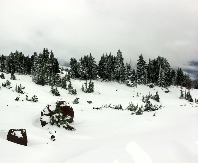 This weekend was very good 🌲❄️ https://t.co/YGcfSZcg5j