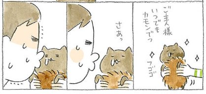 ねこねこ横丁編集部 Pixivコミック Comip にて まめねこ ねことじいちゃん で人気のねこまき先生 ちびネコ どんぐり 第9話更新 愛する猫のため アナタはどこまでなら体を張れますか T Co Yztsk7kk3x Comip T Co Zfdygax7hb