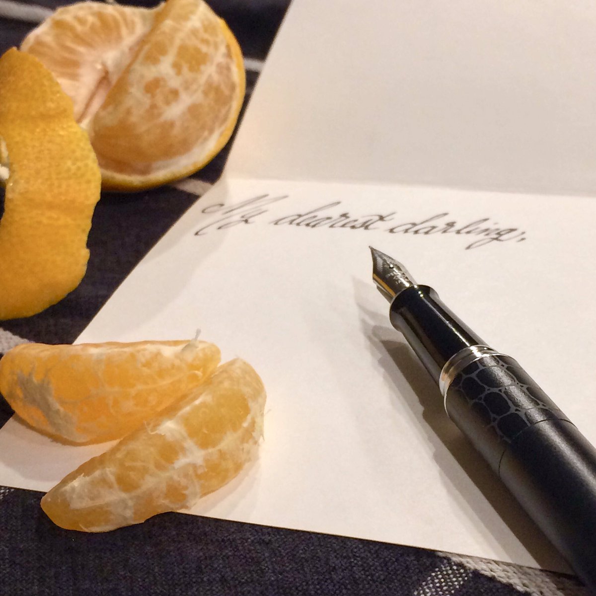 PostandScribe's tweet image. A fountain pen, like this @pilotpenusa in Crocodile print, is a great way to make any correspondence feel elegant! #postandscribe