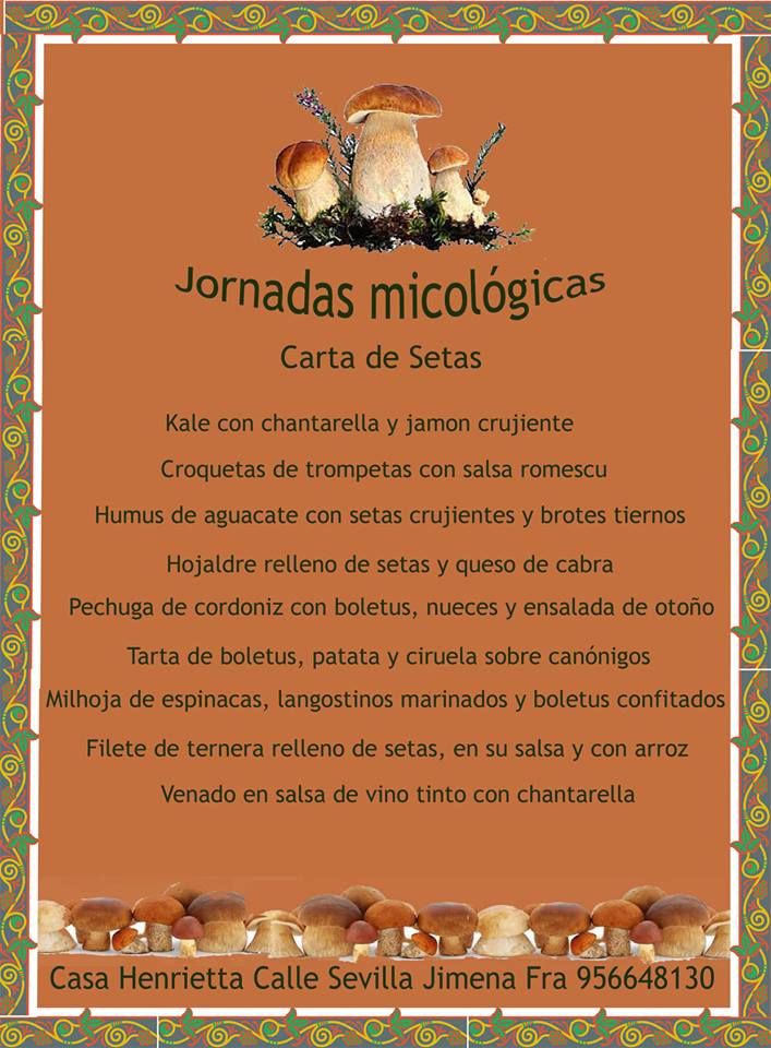 Semana de Setas y Artesanía en Jimena de la Frontera, que no te asuste el agua que da vida a nuestras setas.
Vente en tren y disfruta.