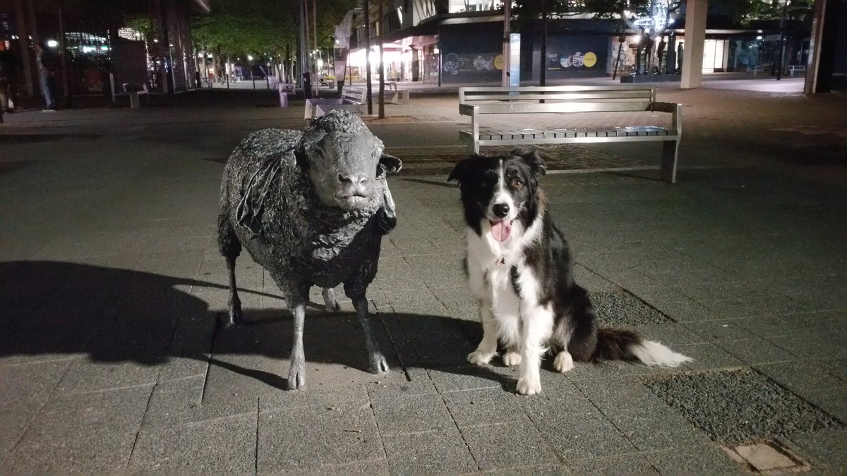 PhillCronin's tweet photo. @TexanMeg Nope... Just arrived in Canberra. Are following us on FB? Cullen's Australian Tour 😀 https://t.co/KHYzPsLP3s