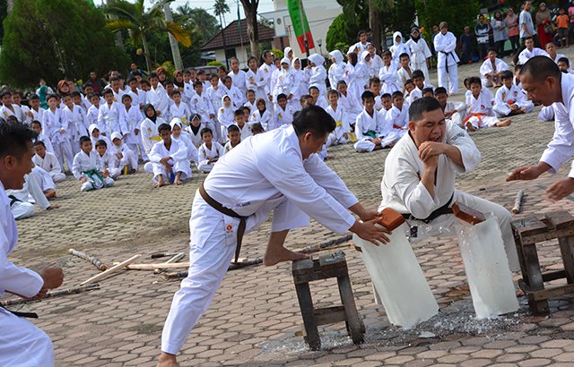 tni_ad's tweet image. Danrem 041/Gamas Buka Latihan Bersama Karate Se-Provinsi Bengkulu tniad.mil.id/index.php/2016…  #beladiri #karate #forki