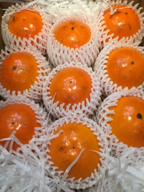 ブログを更新しました。 『柿も色々』
ameblo.jp/39fruits/entry…
#アメブロ