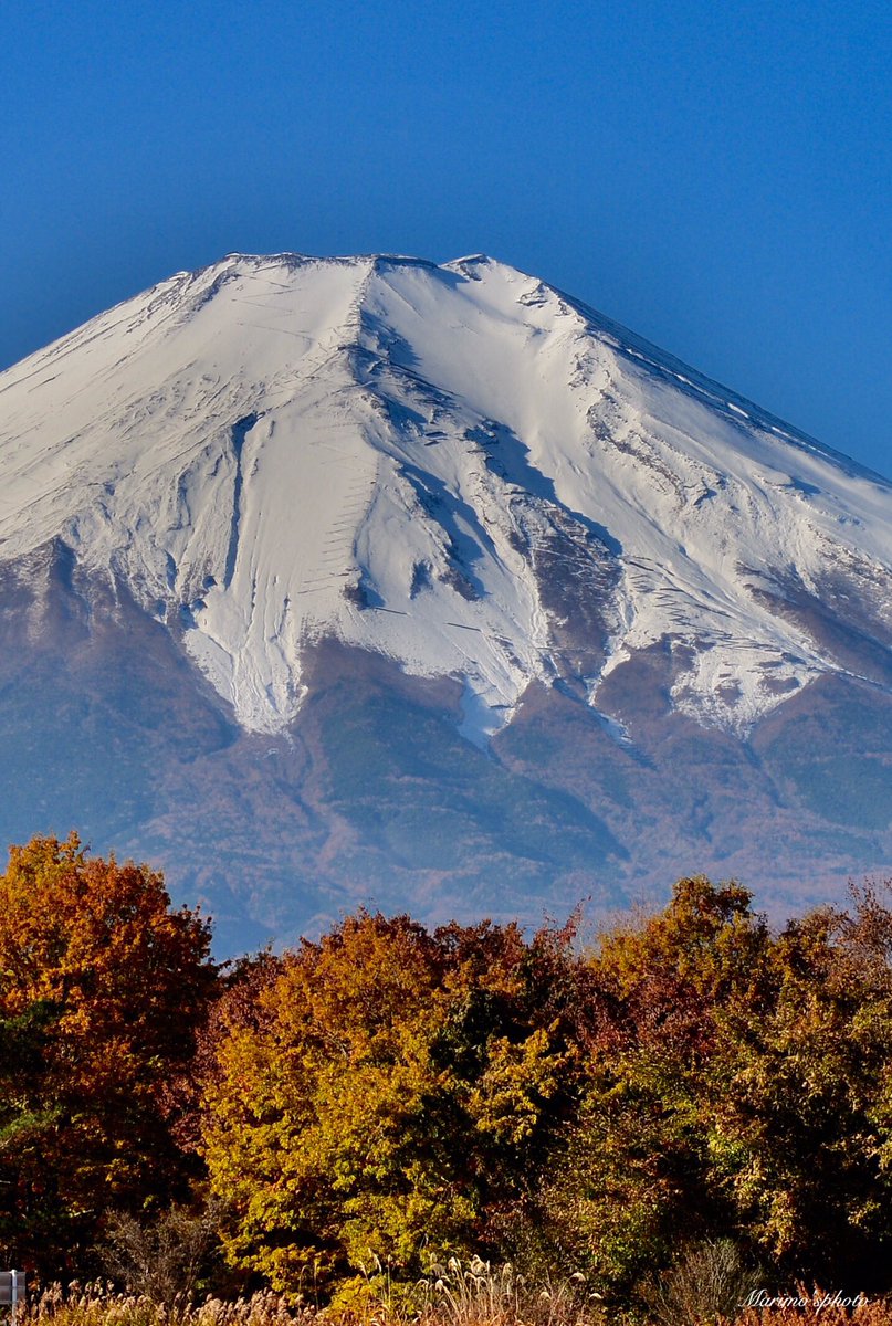 滑落 事故 富士山