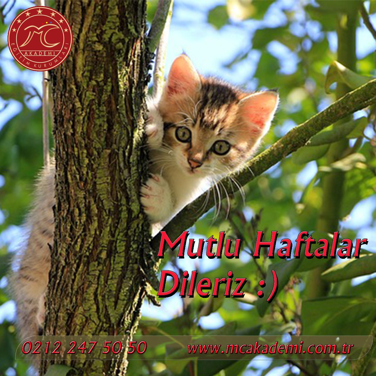 #Pazartesi İyi Haftalar :)