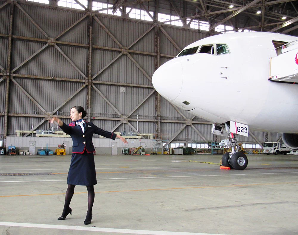 JAPAN AIRLINES【JAL】 on X: 