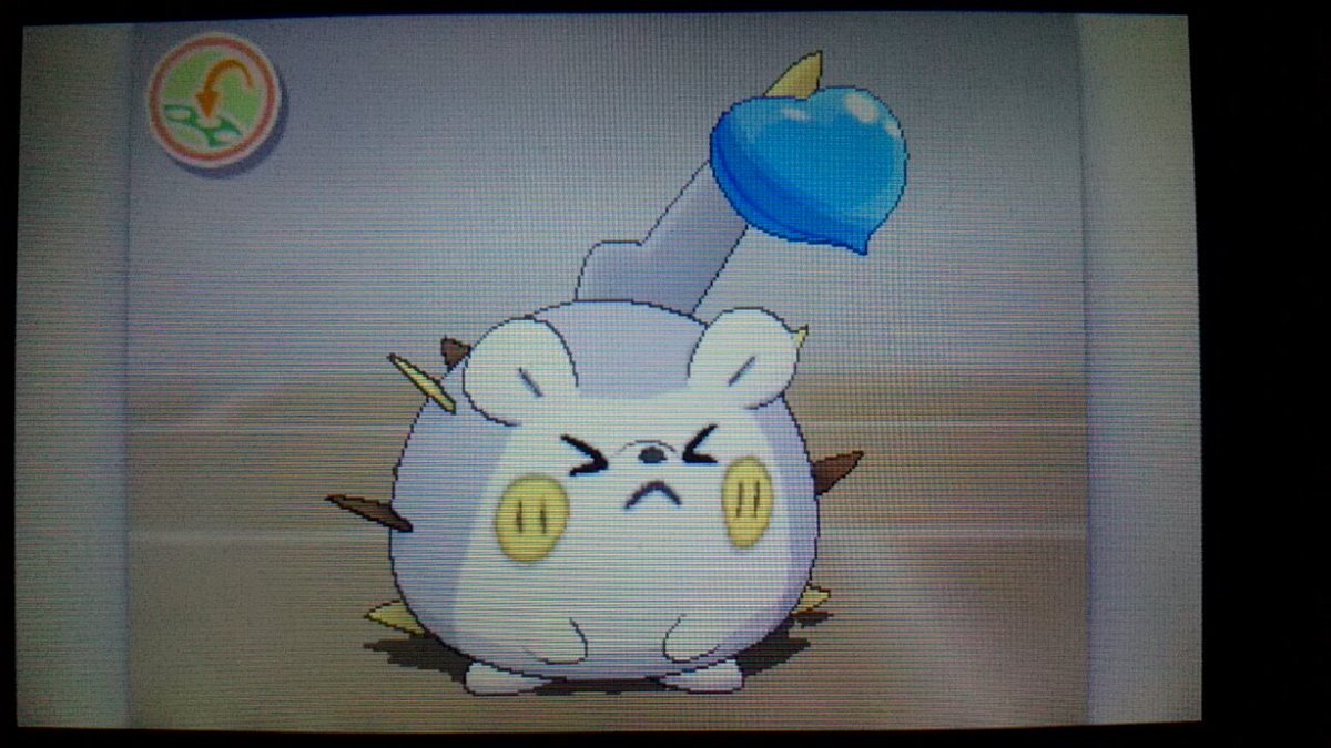A Twitter トゲデマル あっこの子可愛いじゃん ポケマメを焦らすとトゲが出る ポケリフレ A Twitter トゲデマル あっこの子可愛いじゃん ポケマメを焦らすとトゲが出る ポケリフレ