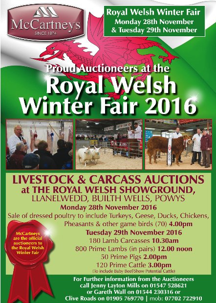 This time next week.......rwas.wales/whats-on-1/ We can't wait! <a href="/royalwelshshow/">Royal Welsh Agricultural Society</a>