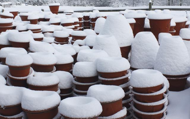 Whichford Pottery (@whichfordpots) on Twitter photo Don't miss out! Our Christmas sale at Whichford pottery is on until the 4th of December. Discount on all pots in stock, BOGOF and more! Don't miss out! Our Christmas sale at Whichford pottery is on until the 4th of December. Discount on all pots in stock, BOGOF and more!