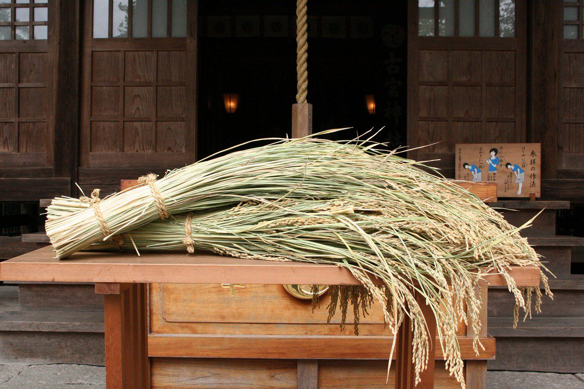 神社検定 6 27オンライン検定実施 11月23日 全国の神社では 新嘗祭 が行われます その年の新穀を天神 地祇に供して感謝をする祭りです 新嘗には にひなへ 新饗 にひにへ 新贄 などの読み方があり 律令国家の祭祀としては祈年祭 月次祭
