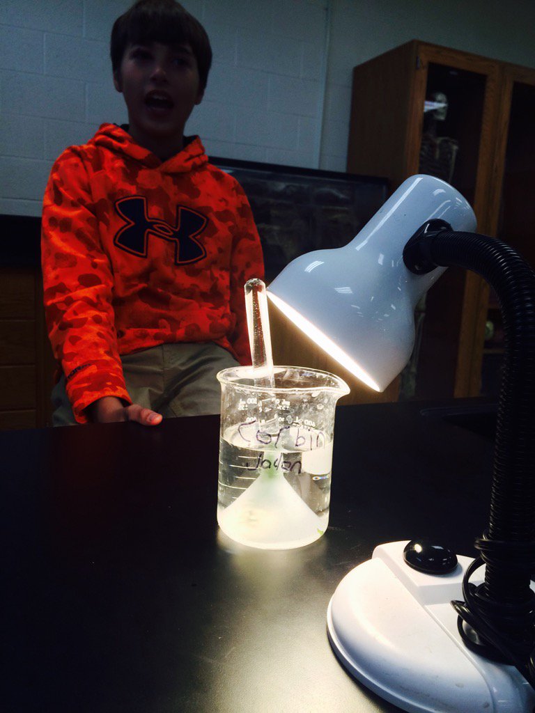 Photosynthesis of water plants!!#usd303