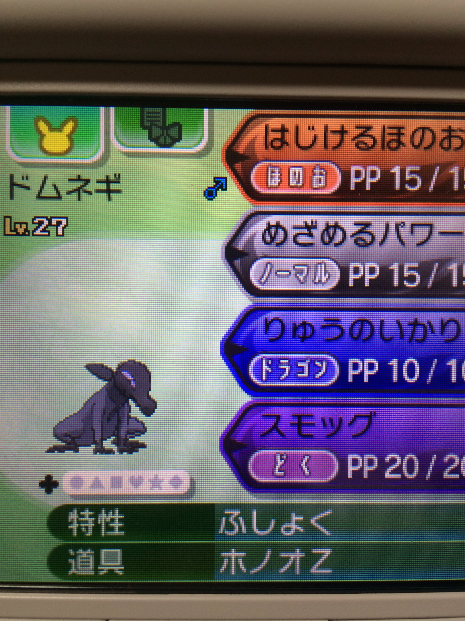 やんp ᴗ Na Twitteru いいポケモン達報告 ノッチがノッチマンに ガラガラはオニーチャンやな ヤトウモリはドムネギっぽい アブリボンはビブリボンと命名 オニーチャンのふといホネを取るのに3時間くらいかかりました ドムネギのヤトウモリは じゃないと