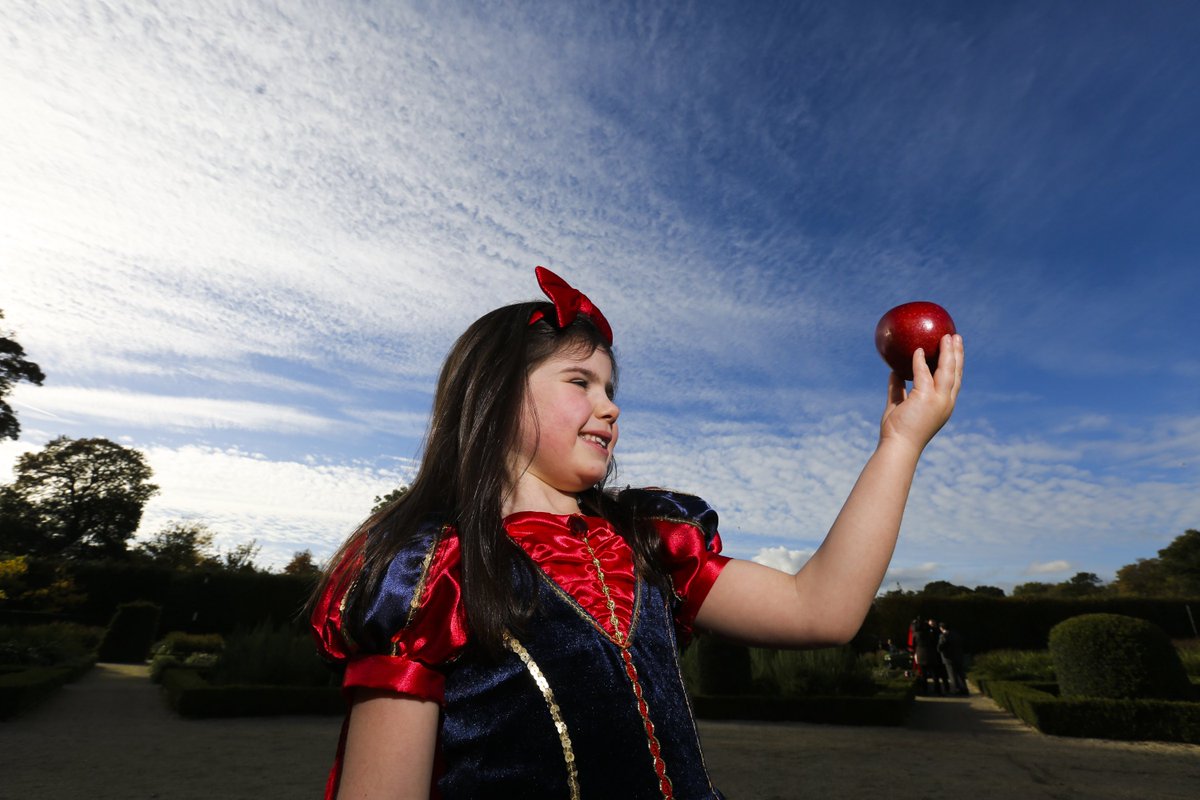 Be Enchanted in Antrim Town this Thursday evening for the annual Christmas tree light switch on event from 5.30pm ow.ly/qdjk306n751