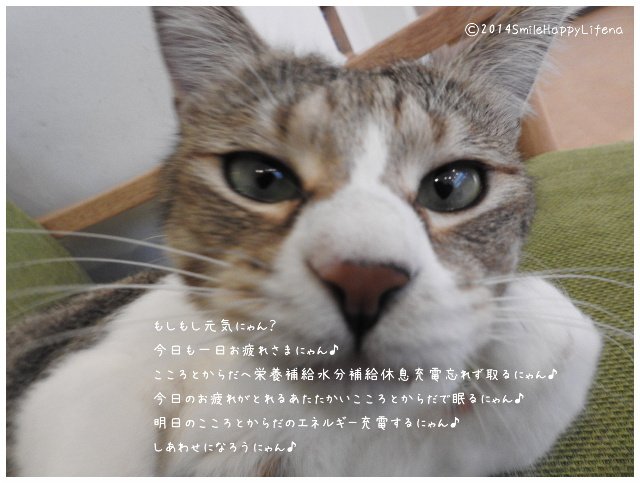 Twitterで画像を見る