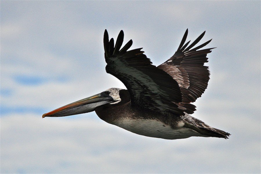 .<a href="/AFOCER/">AFOCER</a> presenta les imatges del concurs social d'octubre bit.ly/2fgrjlu