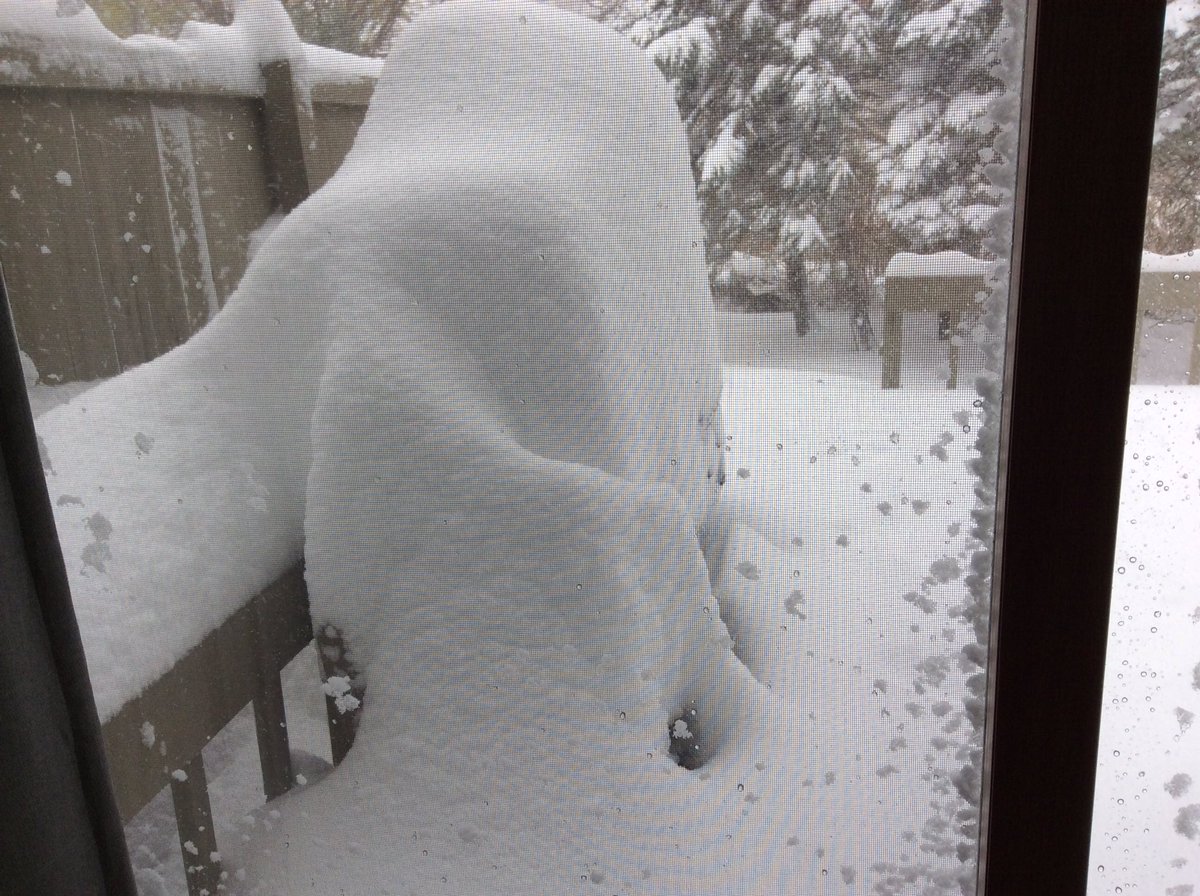 sinfromgin's tweet image. #Syracuse