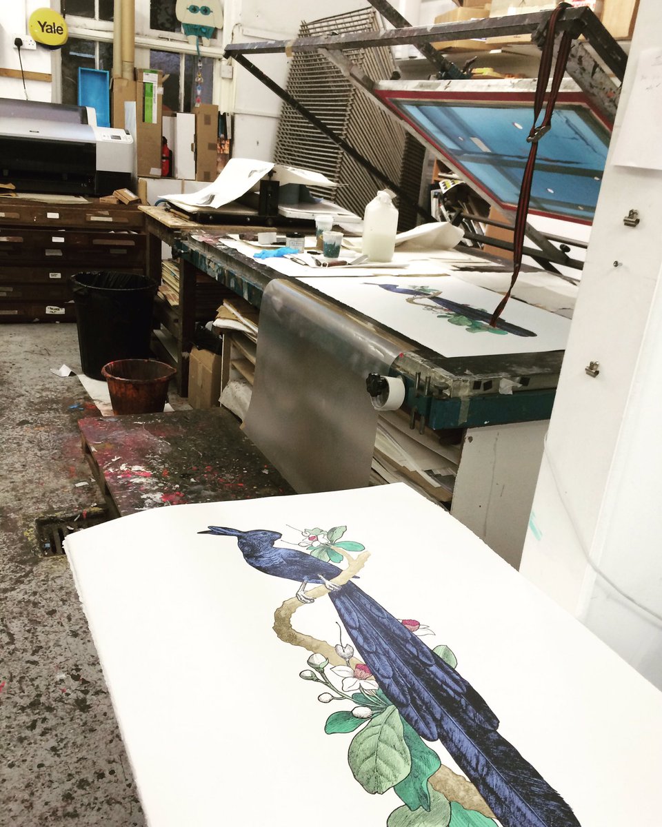 Editioning today- new rabbit-bird 🐇🌿