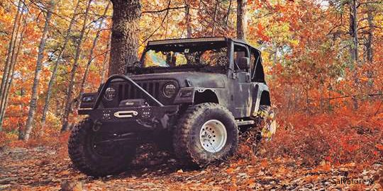 Jeep tweet media