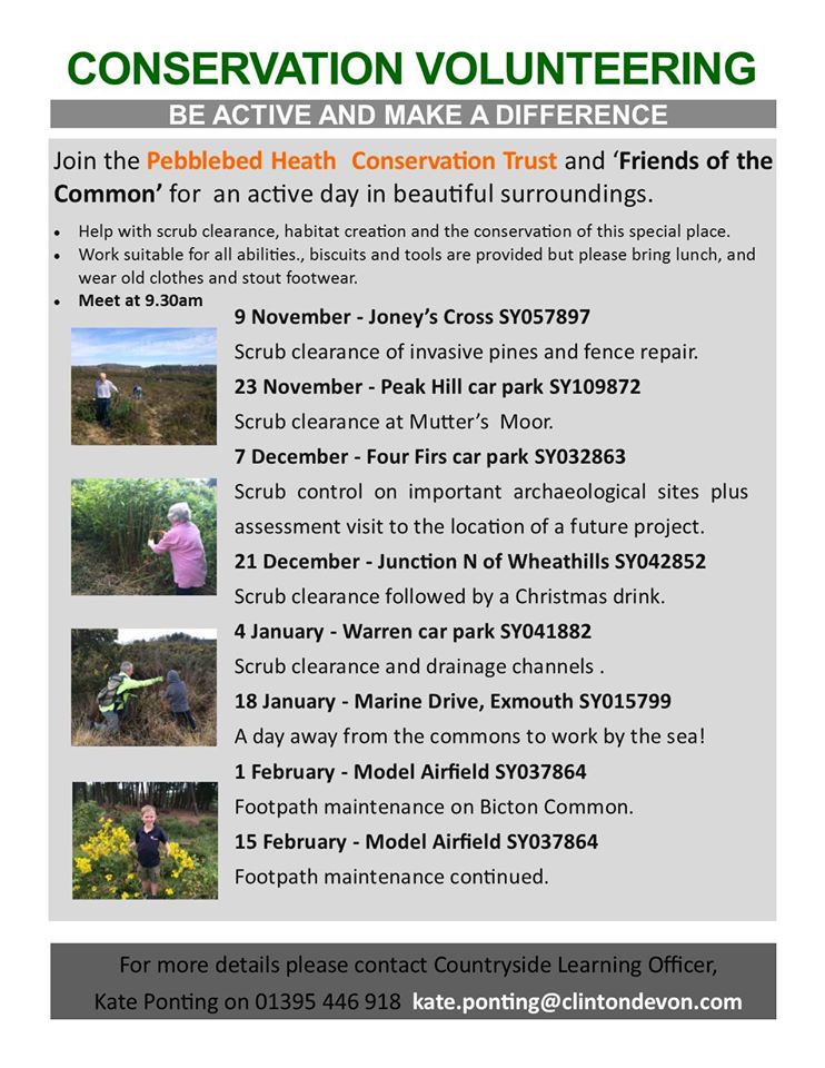 ClintonDevonEstates (@clintondevon) on Twitter photo Join us on Wednesday & help protect the beautiful <a href="/PebblebedHeaths/">Pebblebed Heaths</a> - Scrub clearance this week & no rain scheduled yet! #volunteer #wildlife Join us on Wednesday & help protect the beautiful <a href="/PebblebedHeaths/">Pebblebed Heaths</a> - Scrub clearance this week & no rain scheduled yet! #volunteer #wildlife