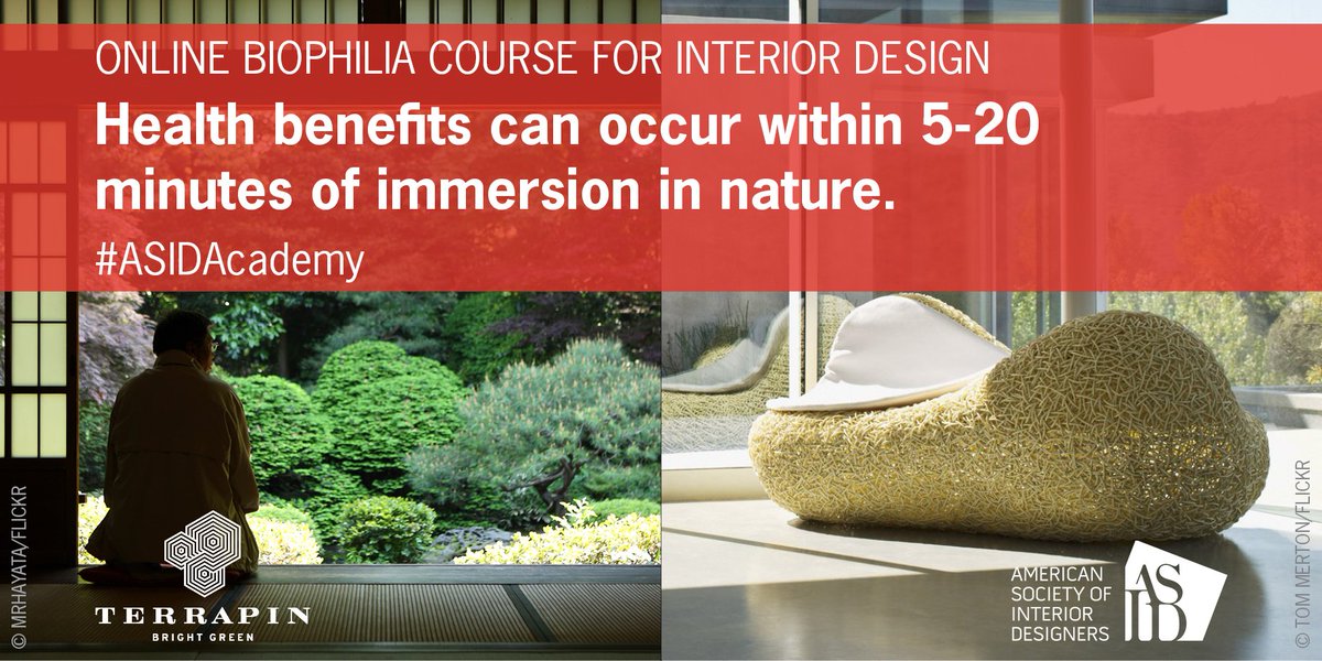 TerrapinBG's tweet photo. Learn about #biophilicdesign for #interiors while earning education credits! Take the course at #ASIDAcademy: https://t.co/ARa1Msl1iW @ASID https://t.co/jLa3J9fuK8