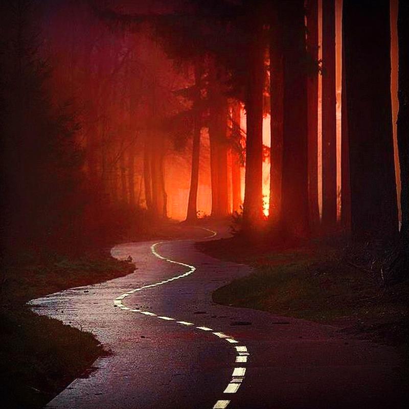 / 🍙 #outsideisfree #fantastic_earth #pnwcollective #neature