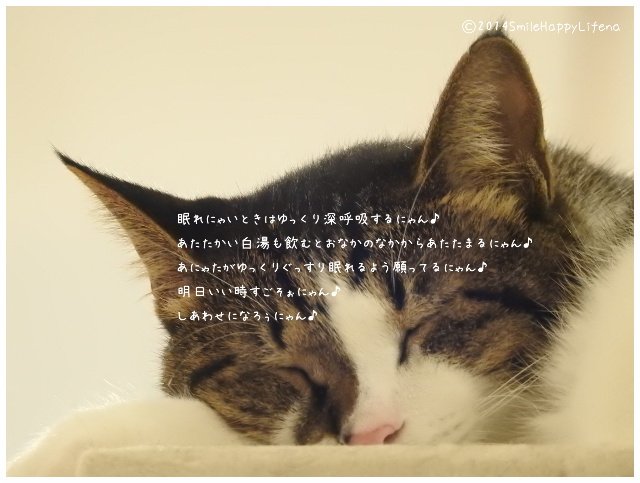 Twitterで画像を見る