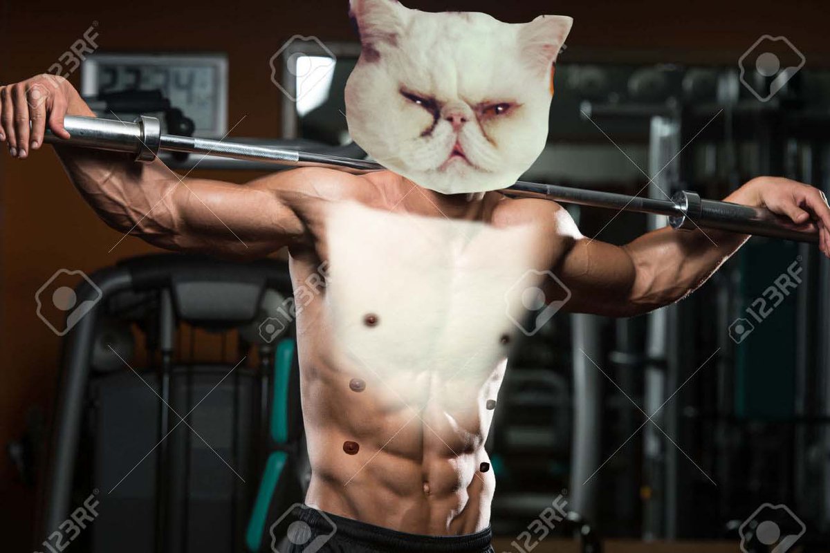 EnricoFernando7's tweet image. @quandjesortdelamuscu @nophotoshop