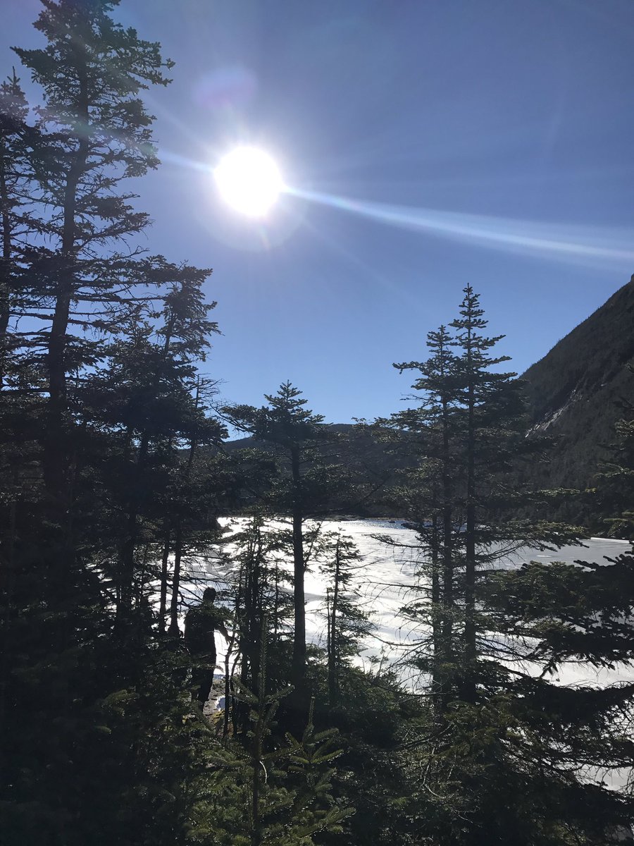 dricardi3's tweet photo. A weekend off the grid, in the lap of luxury of #nature. So hard to return to civilization! 💕✨#AMChuts #hikethewhites #NH #hikingadventures https://t.co/fyoOoLdSST