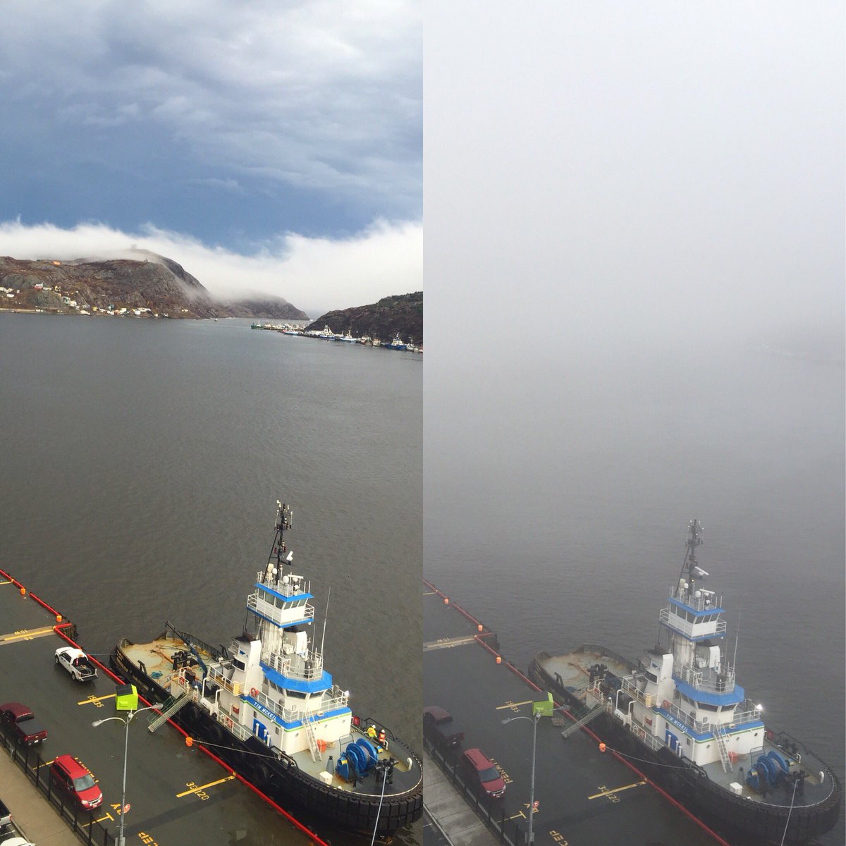 Melissa Royle (@melissaroyle) | Twitter