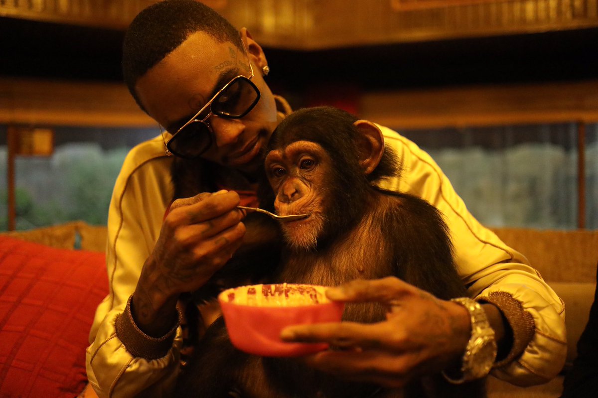 Soulja Boy tweet media