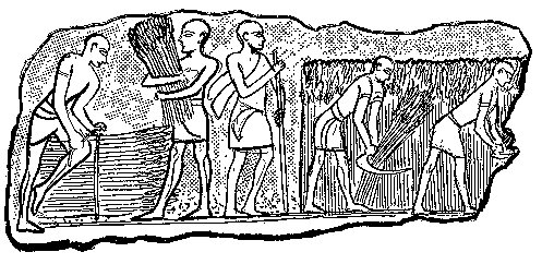 Coultons_Bread's tweet photo. #Breadfact
The history of bread goes back at least 30,000 years.
https://t.co/fDp9QTA2Bt https://t.co/sua4z86QlR