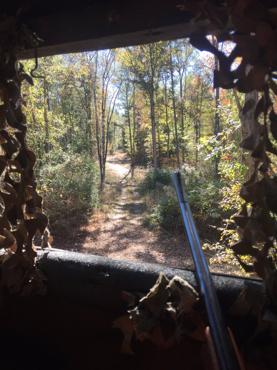 LaneCorley's tweet photo. Gettin in some much needed #boxstand therapy this week. #deerhunting #louisiana https://t.co/lxq5VkqrE7