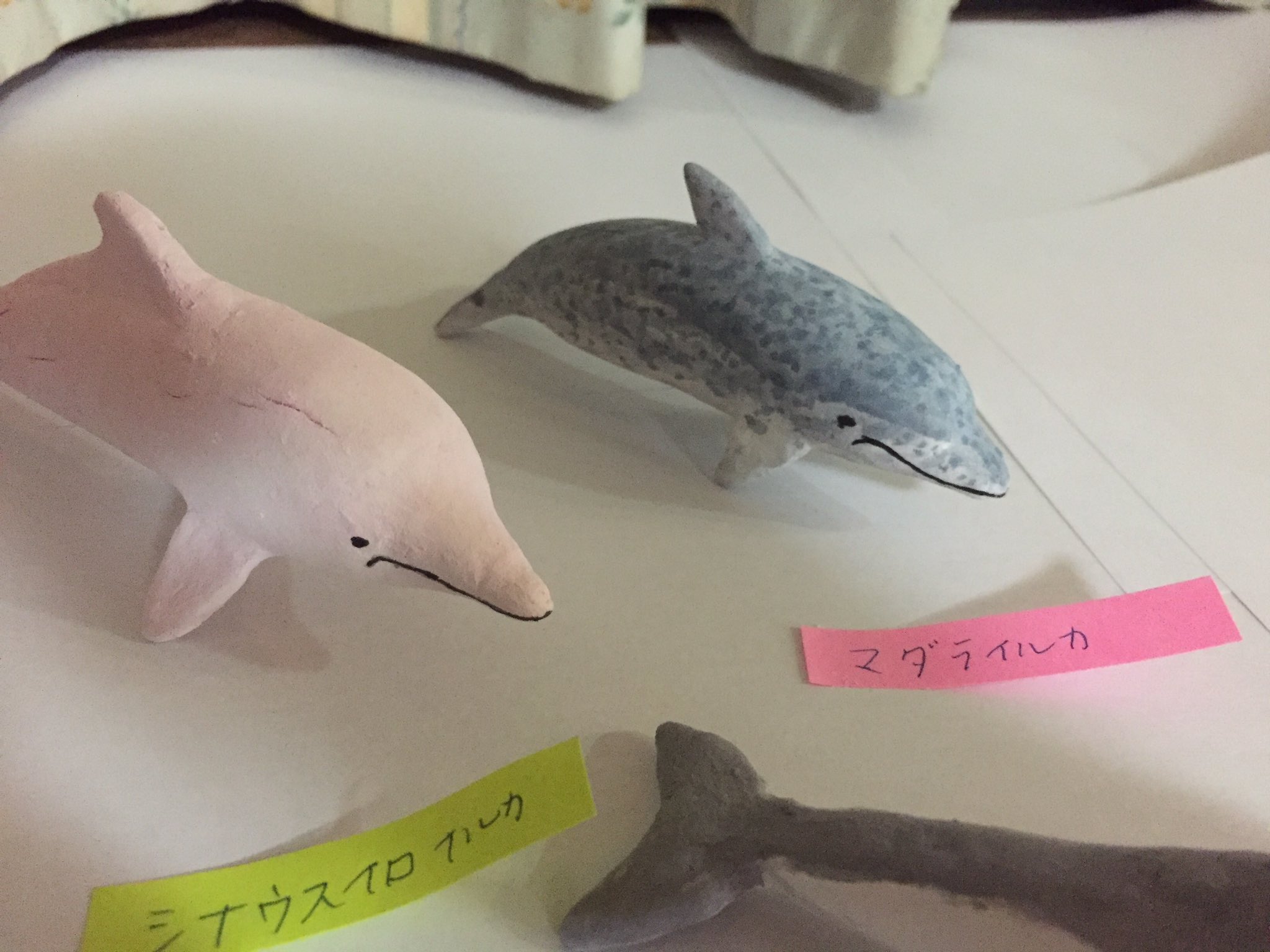 いぬの夏やすみ 立体イルカ図鑑 イルカを全種類作り 立体図鑑を造る試み 挫折しましたが イルカ ハンドメイド 粘土 図鑑 T Co 4cix0s8tpc Twitter