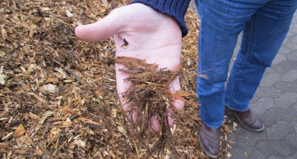 CoreBiomass's tweet image. Why burn dry fuel when you can burn up to 50% moisture wood chip with Justsen Biomass Boilers - 0.5-30 MW