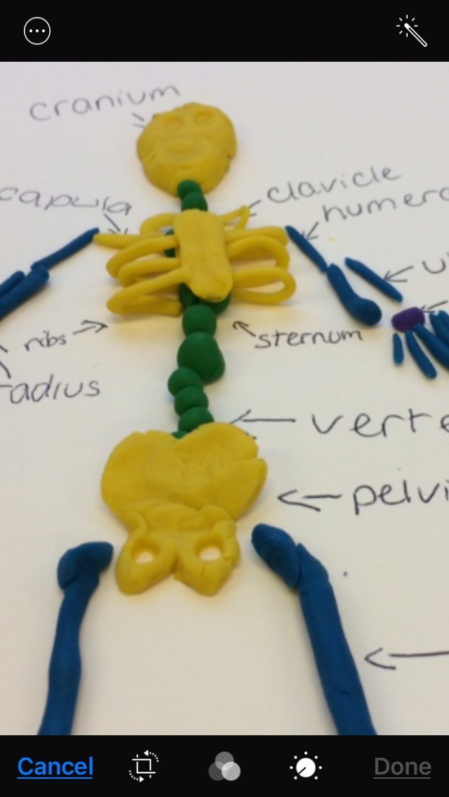 play doh skeleton