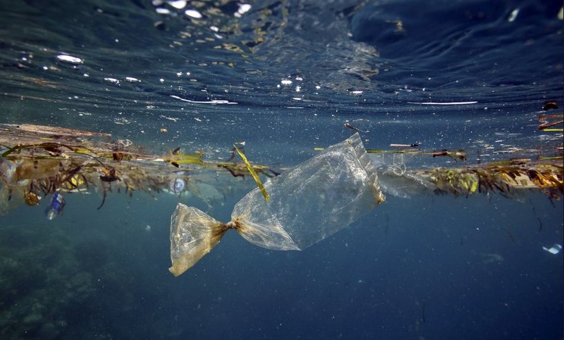 viralberg's tweet photo. 5 Countries Throw More Plastic In The Ocean Compared To The Entire #World ... - https://t.co/u8EwCfvGSG
#China #Facts #Pollution https://t.co/hlOZMppIfp