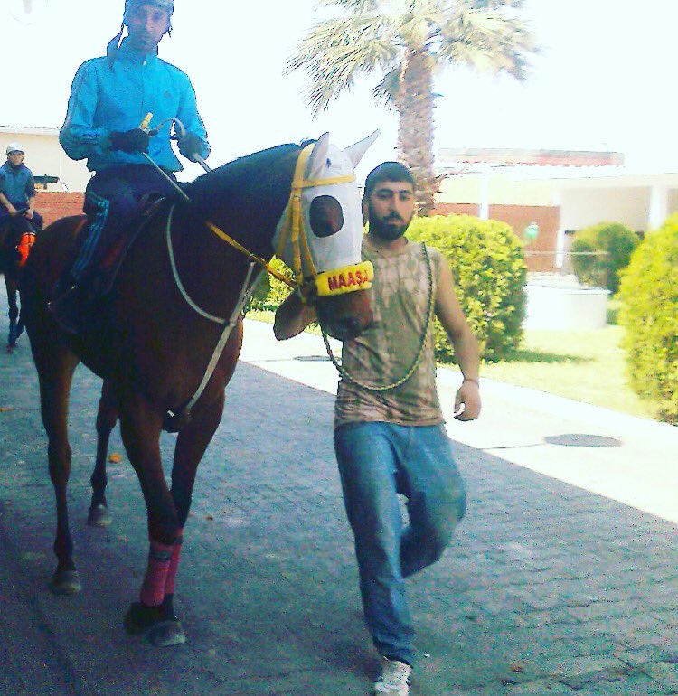 murat23celik's tweet photo. #Taylık #Resmim ☺️ https://t.co/XfDFiEHxAO