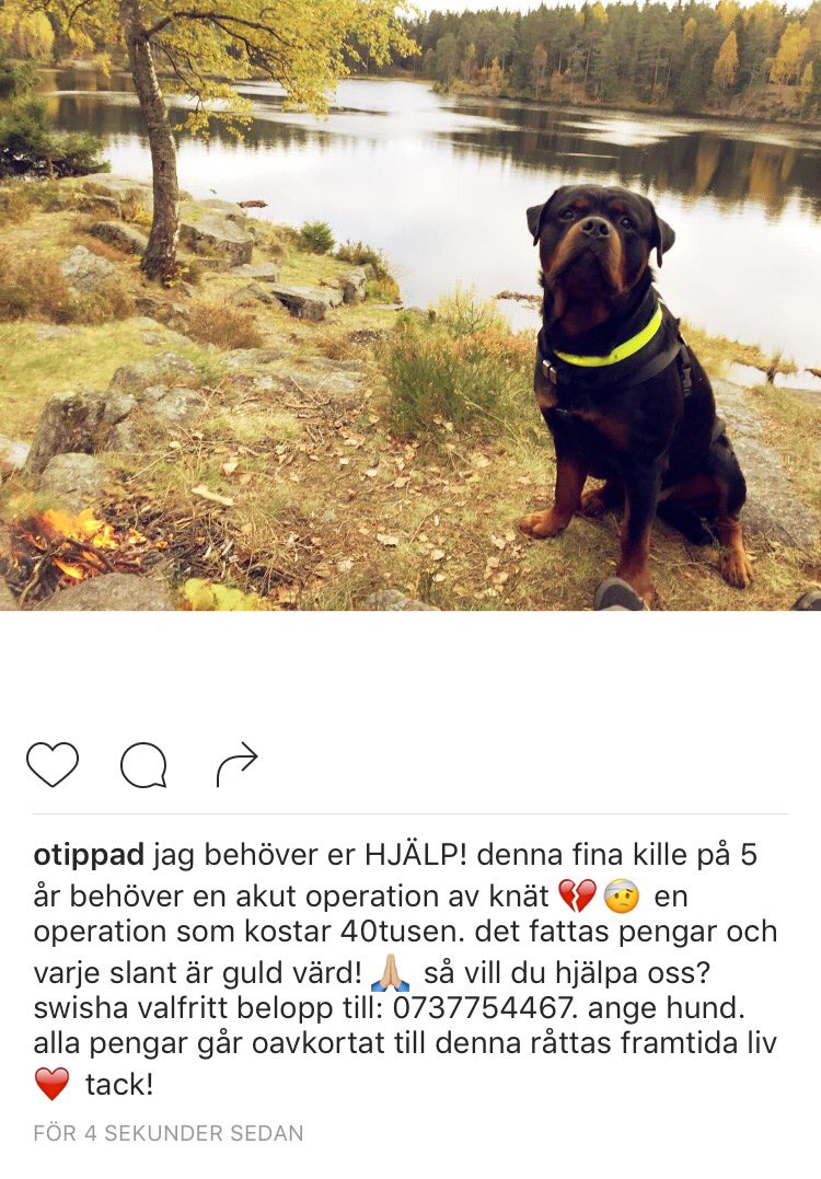 otippad's tweet photo. tack alla som RT. vet att det är en vecka innan lön men varje slant är en stor hjälp 🙏🏼💔❤️ https://t.co/cvnGGUITp7