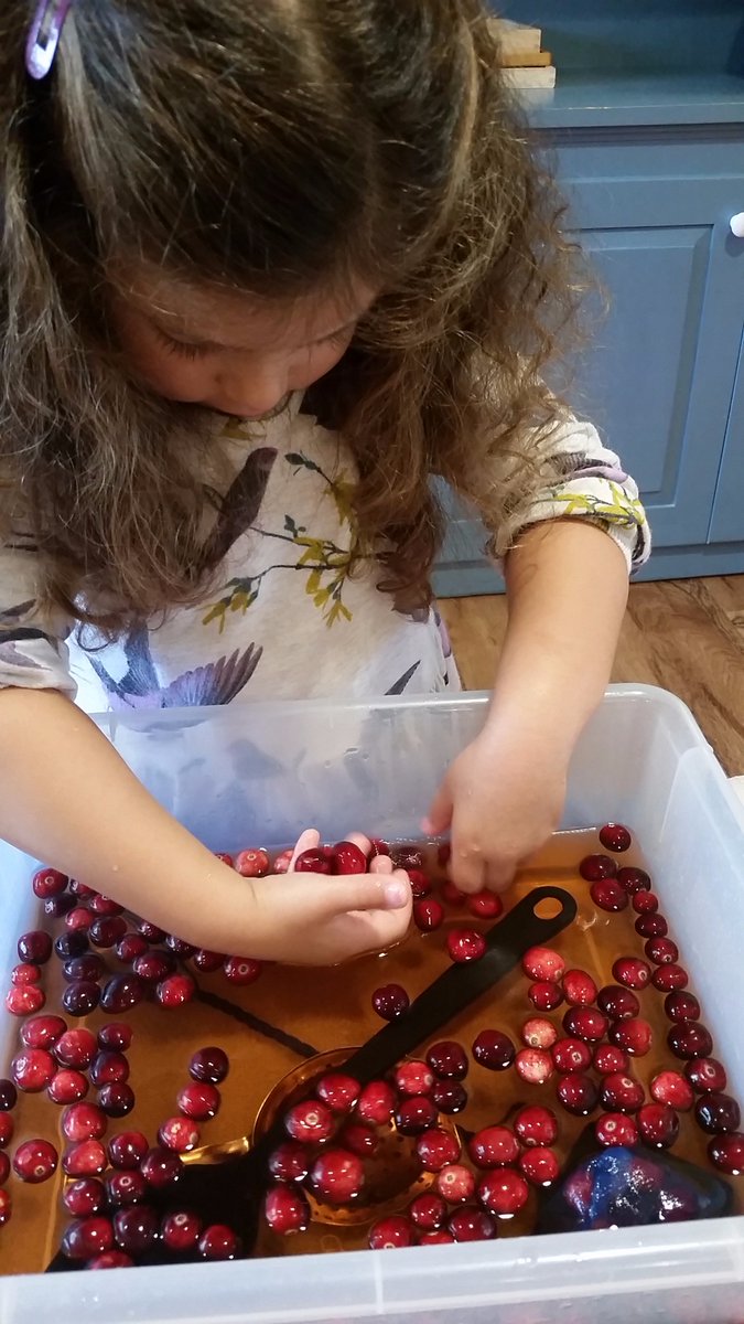 HNLearning's tweet image. In celebration of Thanksgiving ~ Water play with whole cranberries - so much fun to scoop them with slotted spoons or our hands #sensoryplay