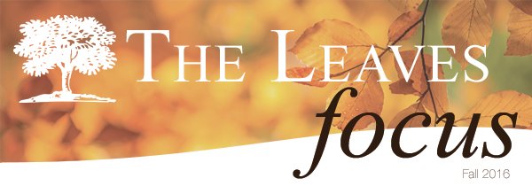 DailyShade's tweet image. Read #TheLeaves' Fall Newsletter and download the Annual Meeting talk by Christine Irby Williams: bit.ly/2g9Nsm4