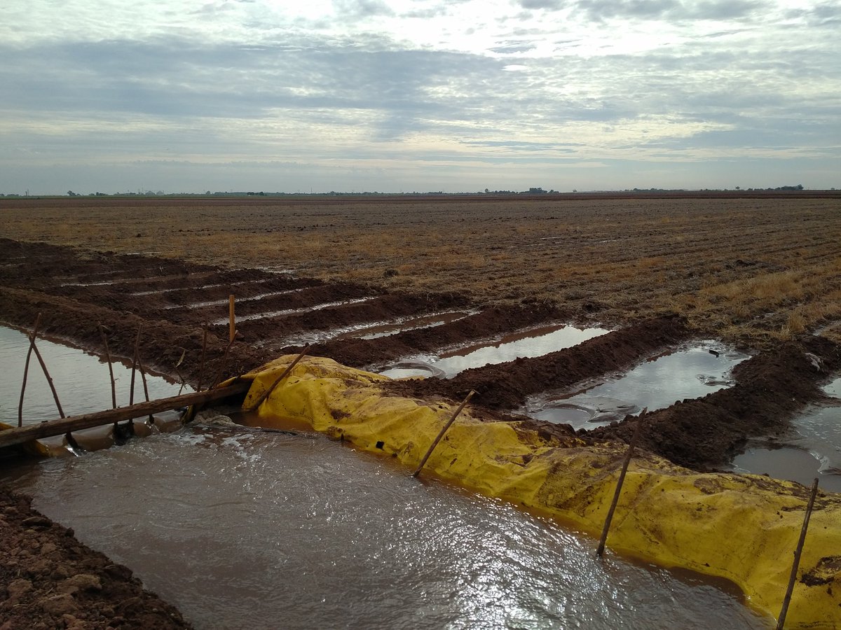 bramaccimmyt's tweet photo. Visita de campo en Obregon Innovaciones de maquinaria #5masagro @Hub_PACNorte @KropffMartin @SAGARPA_mx @JorgeNarvaezN https://t.co/RPJiV75804