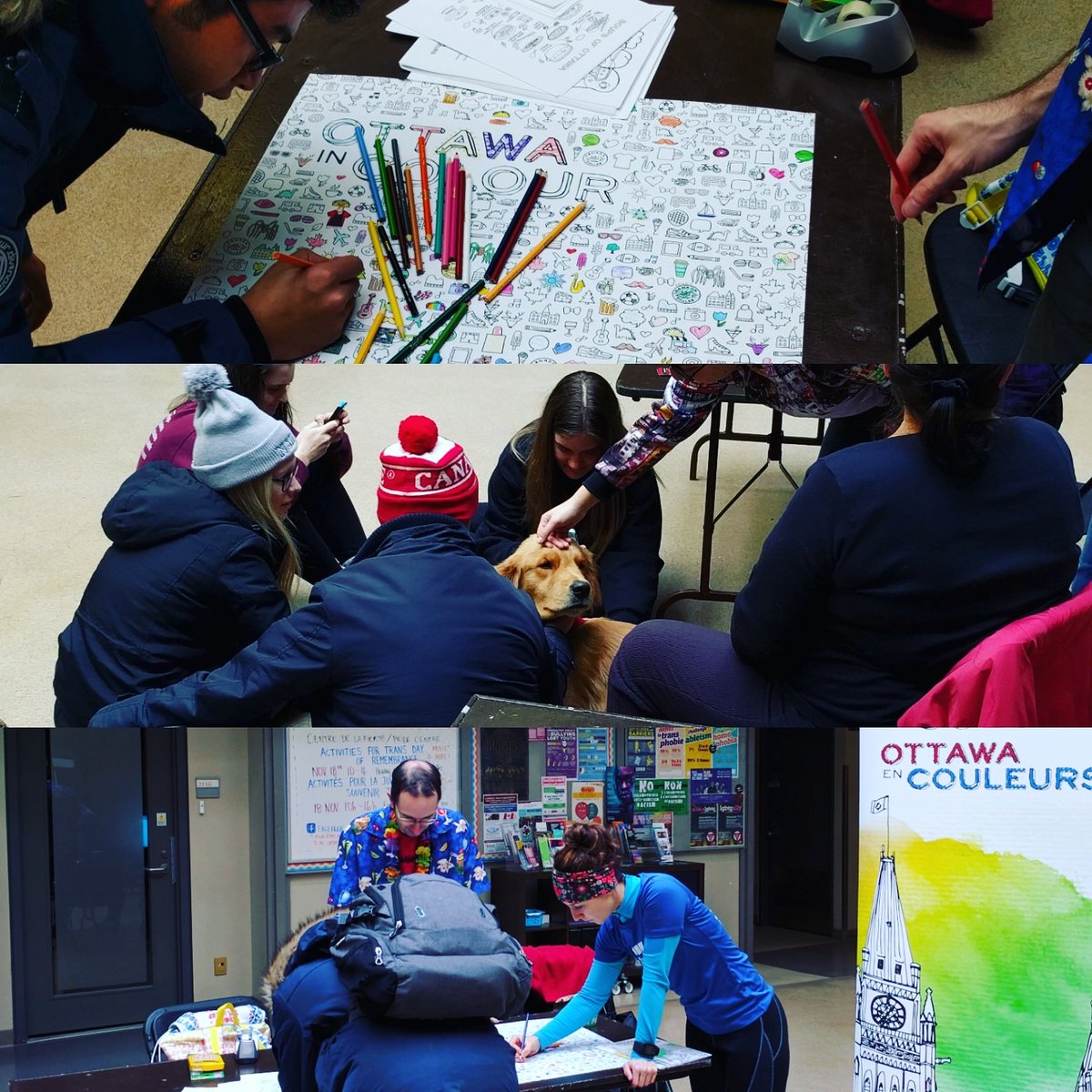 Now at uOttawa #Wellnessweek for student and staff. 3 therapy pooches present getting all the love!!! @uOttawasas @uottawacounsel #uOttawa