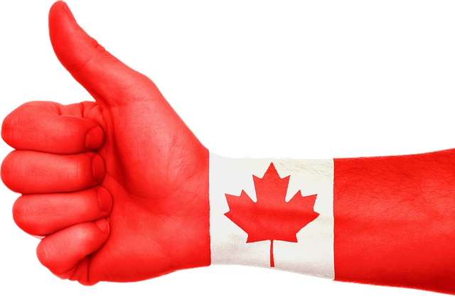 TopTipsClub's tweet image. Taking #canadian #citizenship #test soon? FREE practice Q&amp;amp;A (500 +) goo.gl/jjq1fw #Canada #cdnimm