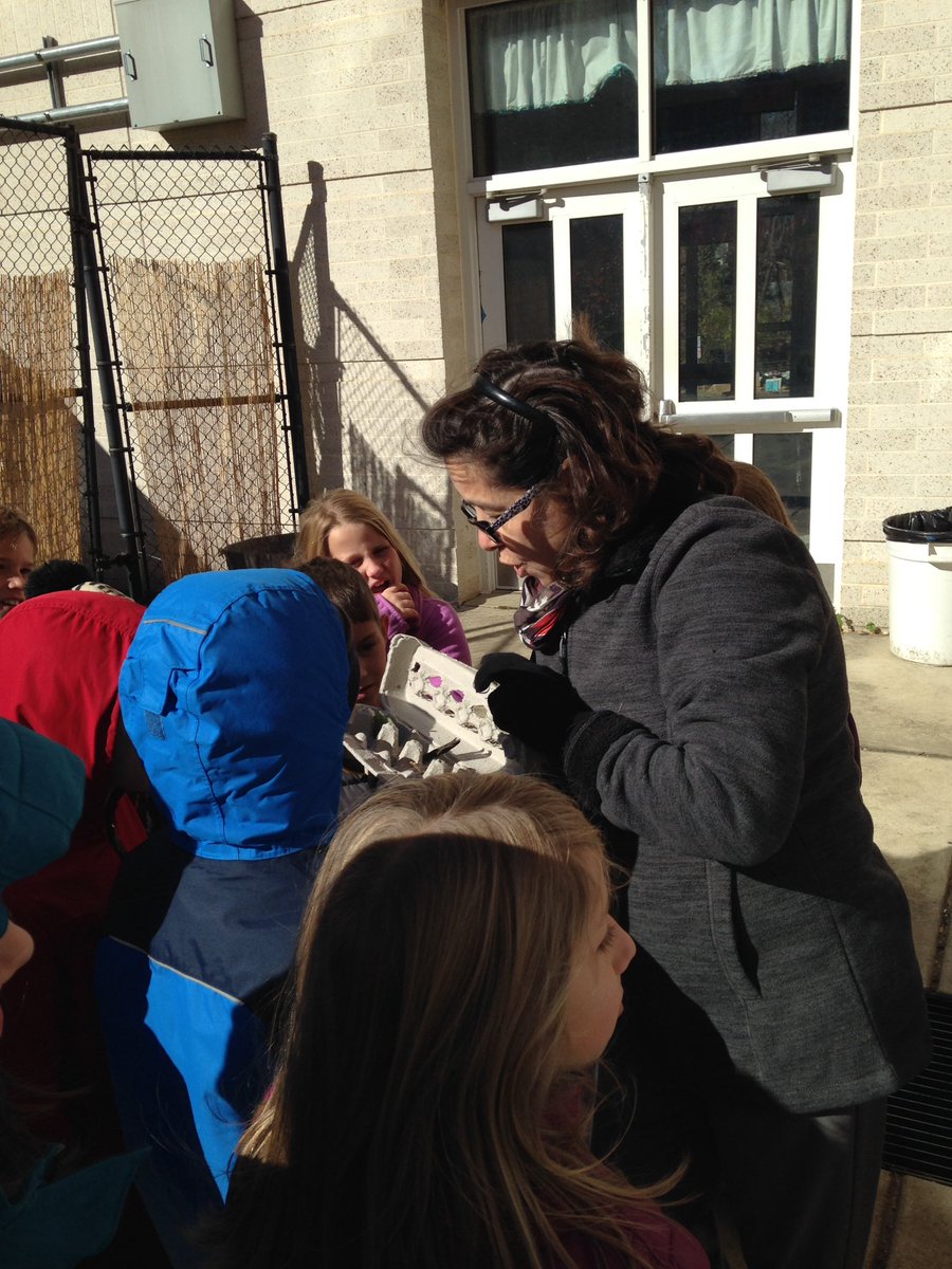 SSIMS_SCES_OC's tweet photo. Mme Sardarbekians's 4th graders classified materials today!  Even with the wind, we can learn in the OC! @SCESPrincipal #outdoorclassroom https://t.co/nYolRQrua9