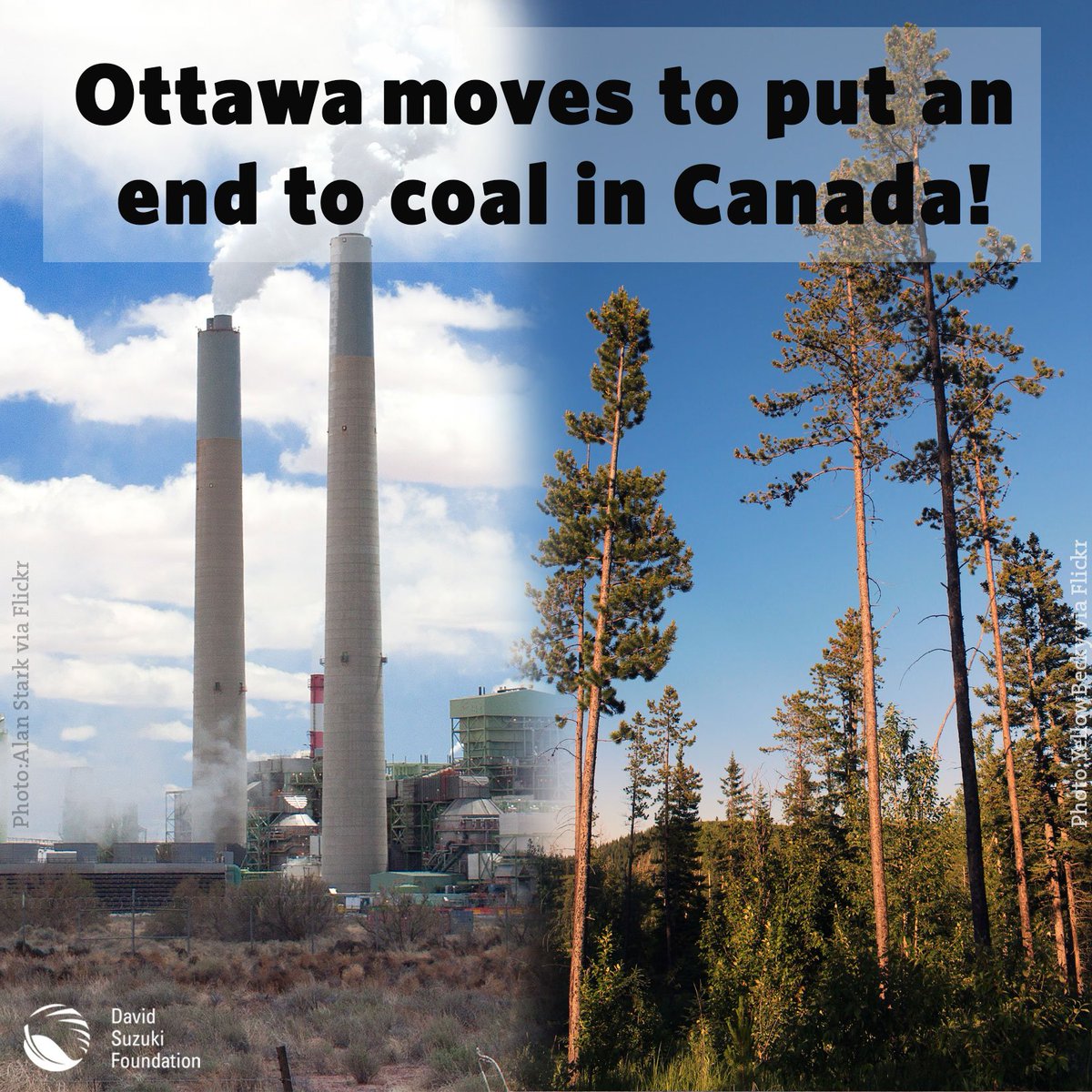 DavidSuzukiFDN's tweet image. Success! Feds taking climate leadership by putting an end to the dirtiest source of electricity in Canada! #cdnpoli ow.ly/7PGl306o4LL