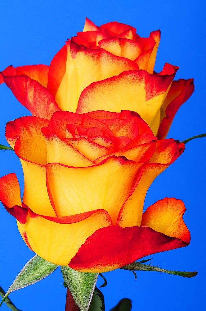 Paul B. Moore tweet media