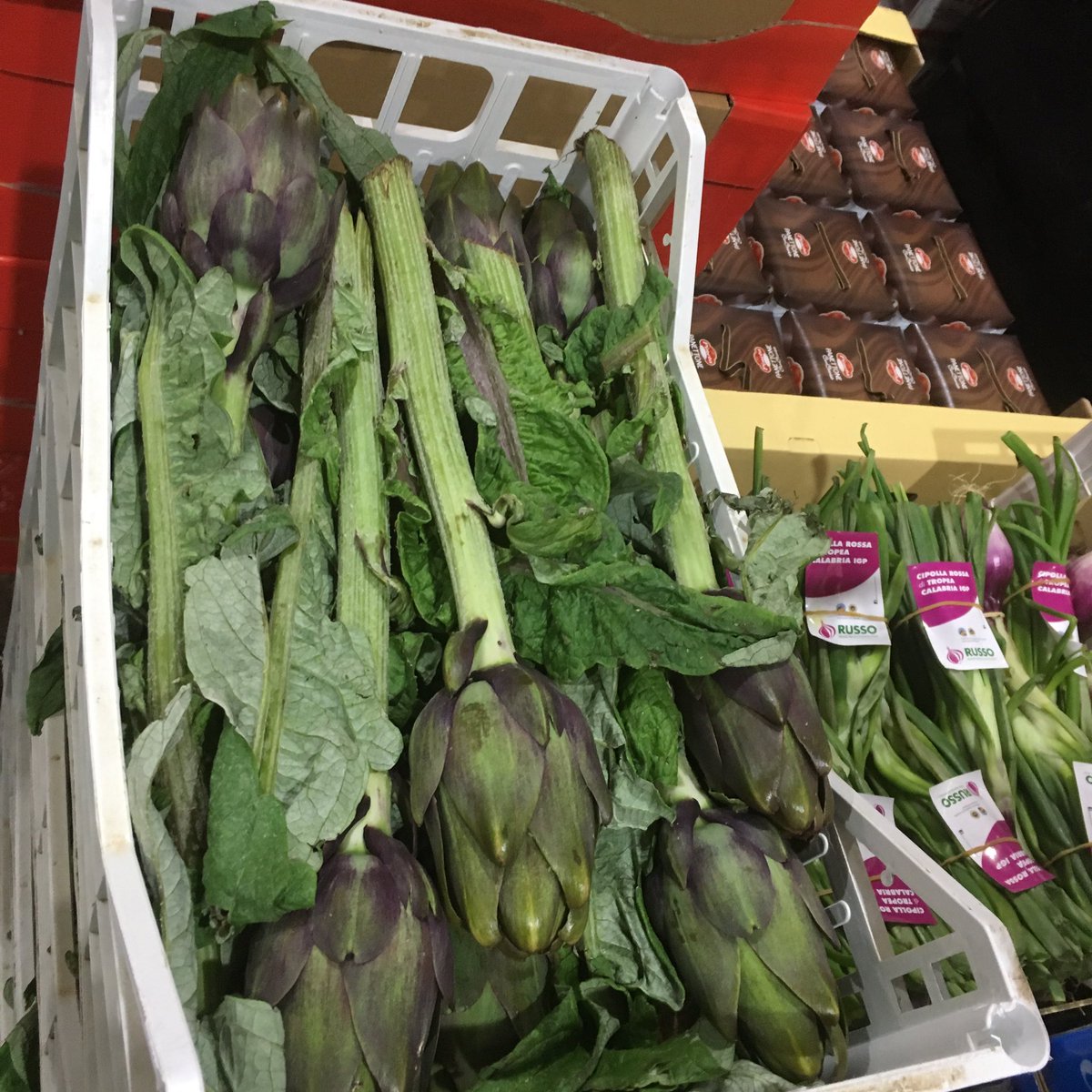 zerboni_taste's tweet image. Artichokes, sweet #friggitello&quot; peppers, #friarielli broccoletti, bergamot, DOP Tropea onions &amp;amp; more directly from Italy. #flavoursmatter 🇮🇹