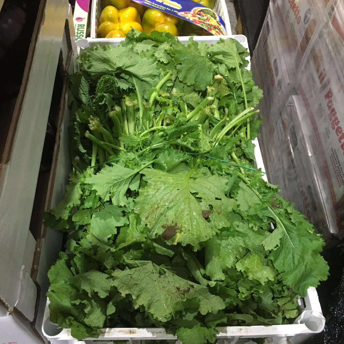 zerboni_taste's tweet image. Artichokes, sweet #friggitello&quot; peppers, #friarielli broccoletti, bergamot, DOP Tropea onions &amp;amp; more directly from Italy. #flavoursmatter 🇮🇹