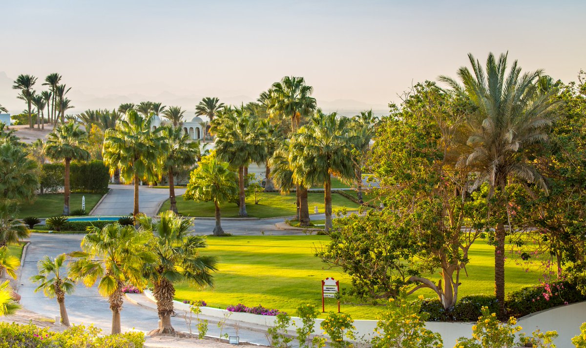 OberoiSahlHash's tweet photo. Adding touches of #nature to give you an unforgettable #Holiday experience at @OberoiSahlHash #MyOberoiEscape #LuxuryHolidays #OberoiDirect https://t.co/XpMCTrJ3XG
